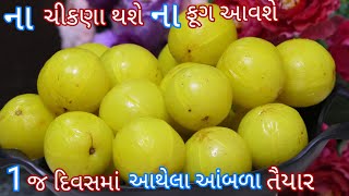 ફક્ત 1 જ દિવસમાં આથીને ખાઈ શકો એવા હળદર મીઠાવાળા આથેલા આંબળા Amla@Shreejifood