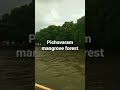 pichavaram mangrove Forest