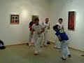 acbf capoeira bemutató a csepel galériában.