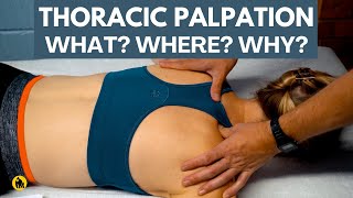 Palpation Of The Thoracic Spine