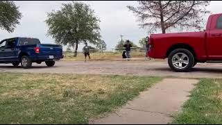 ford vs dodge ( tug of war )