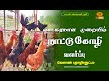 லாபகரமான முறையில் நாட்டு கோழி வளர்ப்பு  | Agricultural Technology