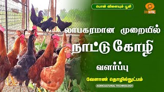 லாபகரமான முறையில் நாட்டு கோழி வளர்ப்பு  | Agricultural Technology