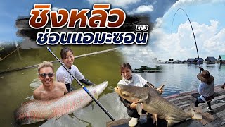 ชิงหลิวช่อนแอมะซอน! กับทีมโปรสาวญี่ปุ่นใน 100 kg. Project Ep 13. โปรเจกต์ 100โล ft. @fishing_girl