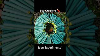 Trick 500 Crackers At Once #experiment #firecrackers #fireworks #crackers #lifehack