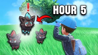 I Shiny Hunted For Zorua… It was a Mistake!