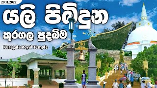 යලි පිබිදුන කූරගල මහා පුදබිම | කූරගල රජ මහා විහාරය | Kuragala Royal Temple Monastry | Travel Vlog #4