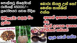 බොරු කියපු උන් කෝ මෙන්න පොල්කටු කිලෝවක් රුපියල් 45000/= ඇළවි කරා සාක්ශිත් එක්ක