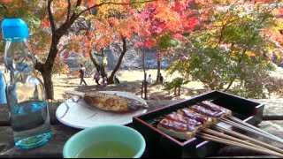 養老公園(紅葉)Autumn leaves of Yoro Park