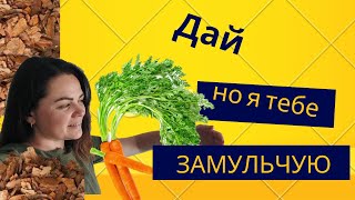 Все що потрібно знати про Мульчу та Мульчування