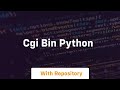 cgi bin python