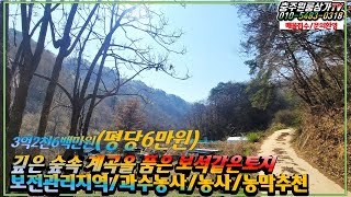 [충주원룸상가TV-147]충주 동량면 하천친 깊은 숲속 보석같은 계곡을 품은 토지매물