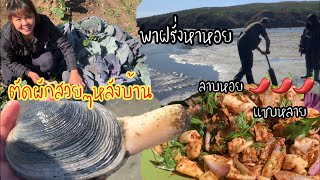 EP.42 A Story of Clam Larb Salad. Clamming in California. พาฝรั่งหาหอย   ตัดผักสดๆหลังบ้านมาทำลาบหอย