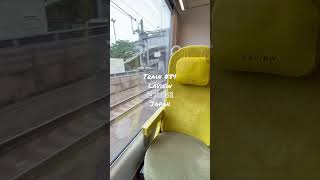 Train #84，日本西武鐵道「特急 Laview」車廂座椅及大面車窗。SEIBU RAILWAY, JAPAN