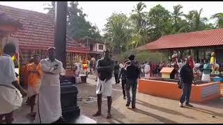 Kattakampal pooram vibes 6 | കാട്ടകാമ്പാൽ പൂരം കാഴ്ചകൾ 2023 #keralatourism #hinduism #viral #pooram