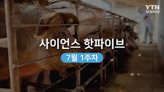 [사이언스 핫파이브] 신종 돼지독감 바이러스 발견…7월 첫째 주 사이언스 핫 이슈 / YTN 사이언스