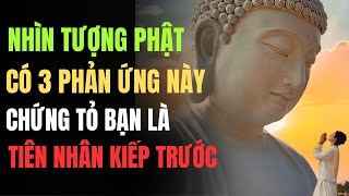 Phật Giáo Tiết Lộ: Nhìn Thấy Tượng Phật Mà Có 3 Phản Ứng Này Chứng Tỏ Bạn Là Tiên Nhân Chuyển Sinh!