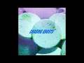 Chasing Ghosts - Chasing [PLEASURE04]
