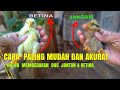 Cara paling mudah Membedakan jantan dan betina pada doc ayam kampung