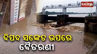 Baitarani river swells following heavy rain in upper catchment areas || kalingatv