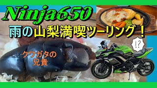 【🟢山梨の試練☔️】Ninja650 雨の山梨ツーリング～美味い昼飯を求めて～【kawasakiバイク４人組】