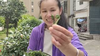 野蕨菜炒腊肉，野味就是好吃，味道鲜美，入口爽滑，吃了忘不了！