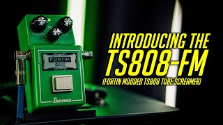 Introducing the TS808-FM (Fortin Modded TS808 Tube Screamer)