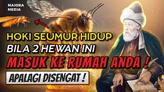 DILUAR DUGAAN  ❗ RAHASIA DARI LEBAH \u0026 LARON ❗ Pertanda Lebah Dan Laron Masuk Ke Dalam Rumah ..