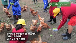 第５回食育活動表彰　ささえたまご農園　消費・安全局長賞