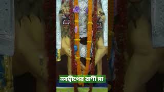 Gourangini Mata Nabadwip l Jay Jay Maa #shorts #nabadwip #dipgoswamiofficial #youtubeshorts #rani