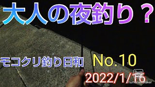 【愛知県釣り】(10)大人の夜釣り？　三河湾漁港