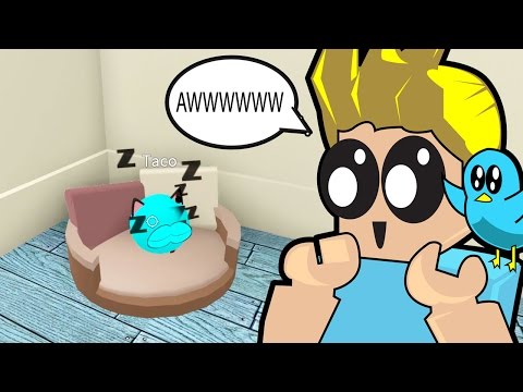 Download Roblox Meep City New Meep Pet Items Gamer - 