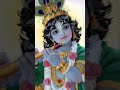 mahara kanha mahara ram mahara shambhu god status krishna shambhu shorts