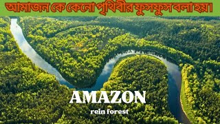 আমাজন কেন পৃথিবীর ফুসফুস বলা হয়(AMAZON JUNGLE)