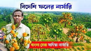 বৃহত্তম বিদেশি ফলের নার্সারি | Fruits Nursery | Best Nursery in west bengal | সাদিয়া নার্সারি