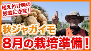 家庭菜園や農園の秋ジャガイモ栽培は植え付け時の気温に注意！8月の栽培準備と秋ジャガイモの育て方を徹底解説！【農家直伝】Tips for growing potatoes.