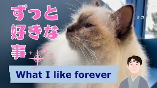 今年を振り返るバーマン猫ミカ【ずっと好きな事】What I like forever（バーマン猫）Birman/Cat