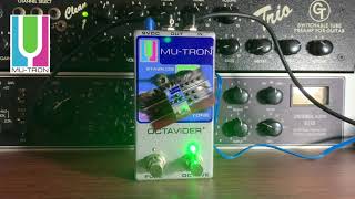 Mu-Tron Octavider+ with a Pbass