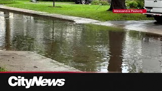 Resident of Montreal's TMR basement flooded for sixth time in 3 year