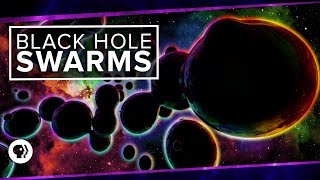 Black Hole Swarms | Space Time