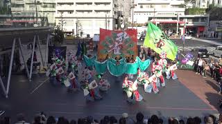 20181020151924 KAWATANAおどり連～孔雀～