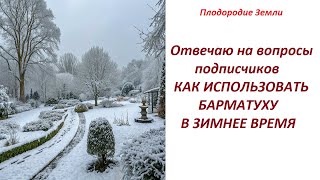 БАРМАТУХОЙ прямо по снегу - ОТВЕЧАЮ НА ВОПРОС подписчиков №688/24