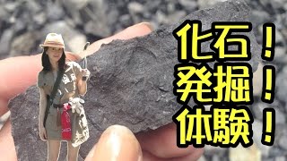 リアルにホリホリ！化石発掘体験ツアーに参加しました！