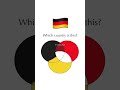 New flag color mixing 🇩🇪 #satisfying #trending #rihanna #riri #newtrend