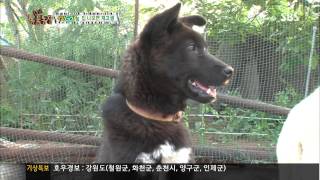 [TV동물농장] 20130717 #2(9)