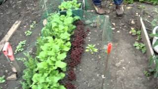 Allotment Nightmare Episode 15 Part 1 August 24 2012