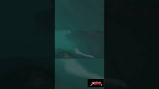 Tsunami Animation  full video link in description.
