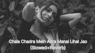 Chala Chadra Mein Adra Manai Lihal Jao lofi song (Slowed+Reverb)-Khesari Lal Yadav | Bihari Lofi |