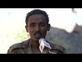 dw tv news የማይካድራ ጭፍጨፋ