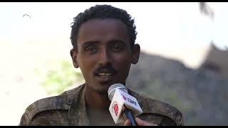 DW TV NEWS  የማይካድራ ጭፍጨፋ